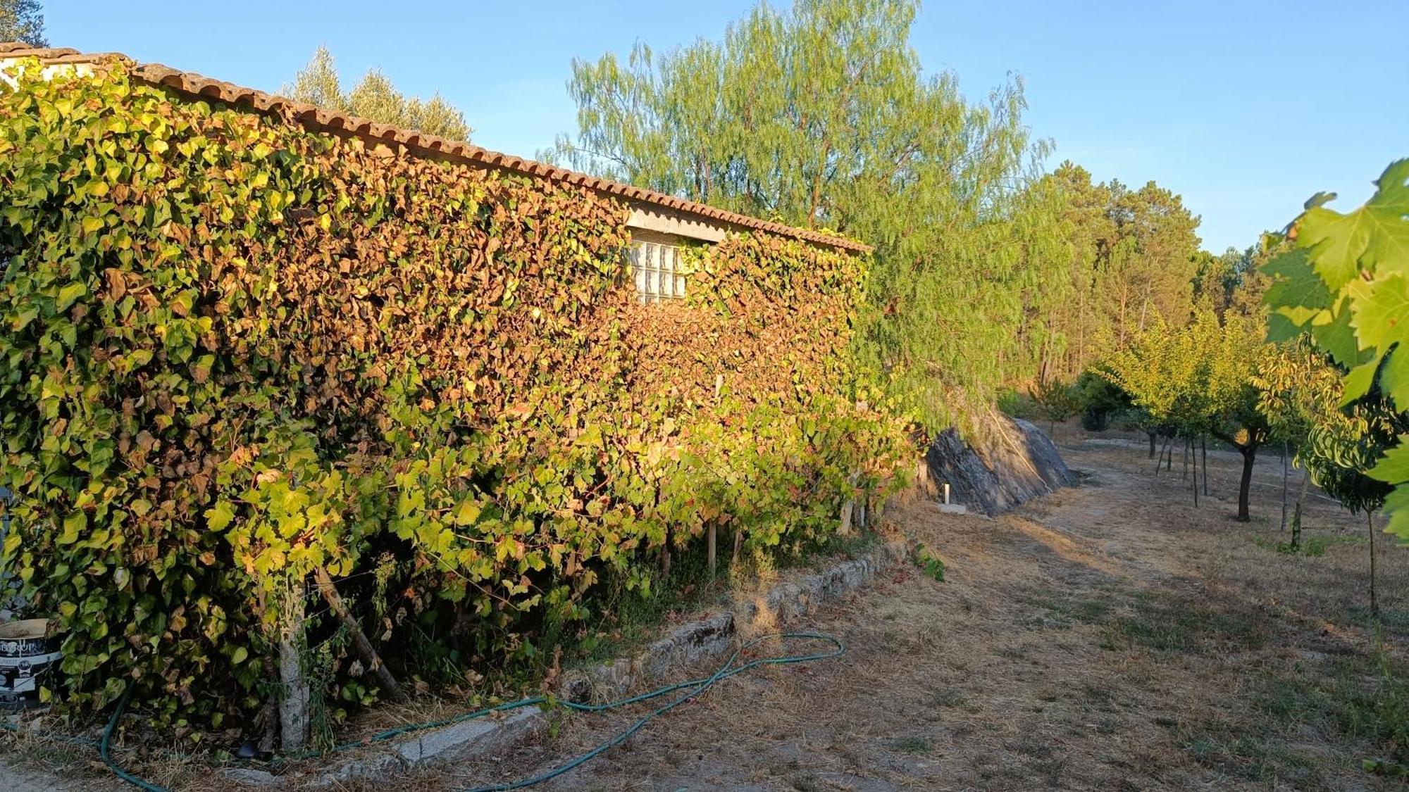 Quinta Da Pedra Mija Guest House Santar Exterior photo