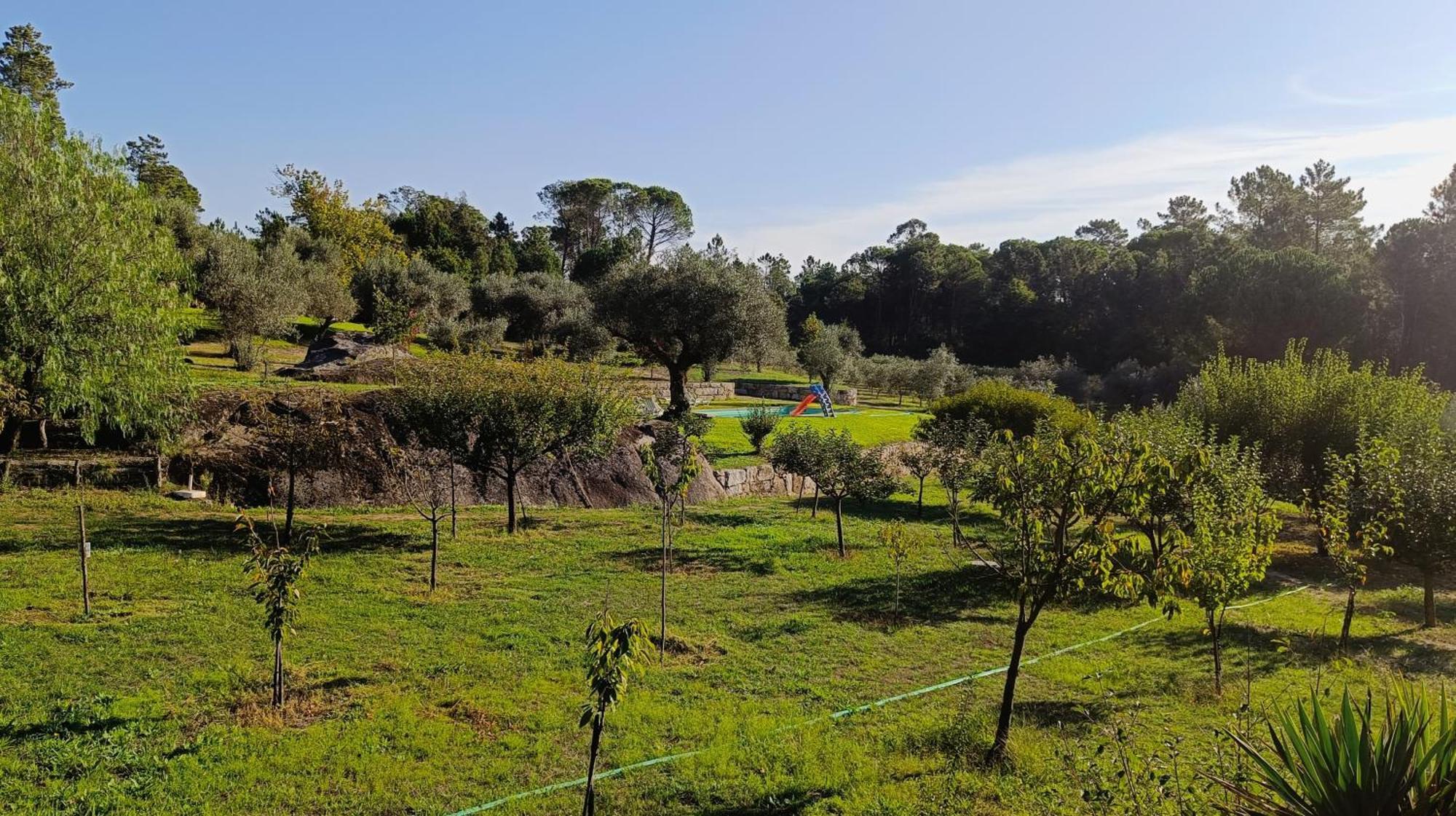 Quinta Da Pedra Mija Guest House Santar Exterior photo