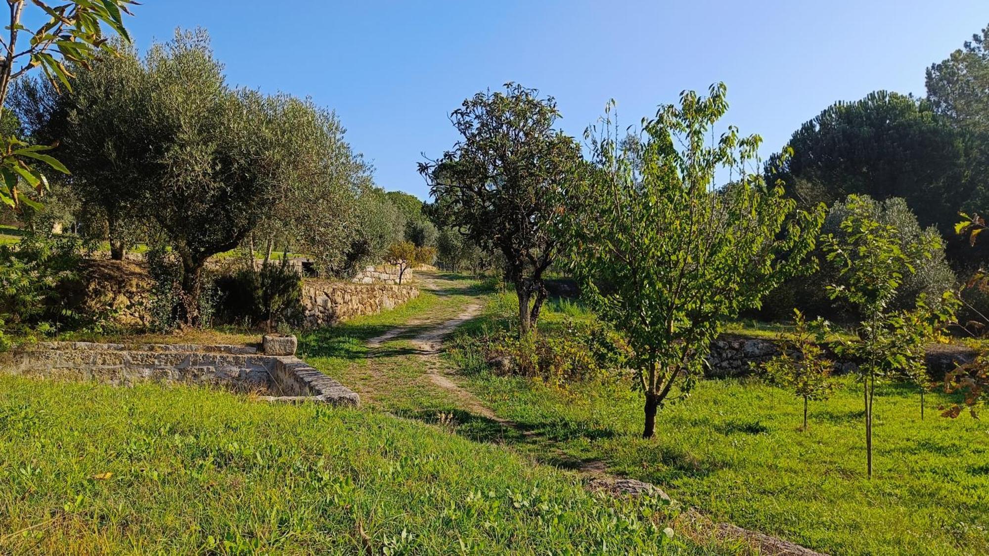 Quinta Da Pedra Mija Guest House Santar Exterior photo