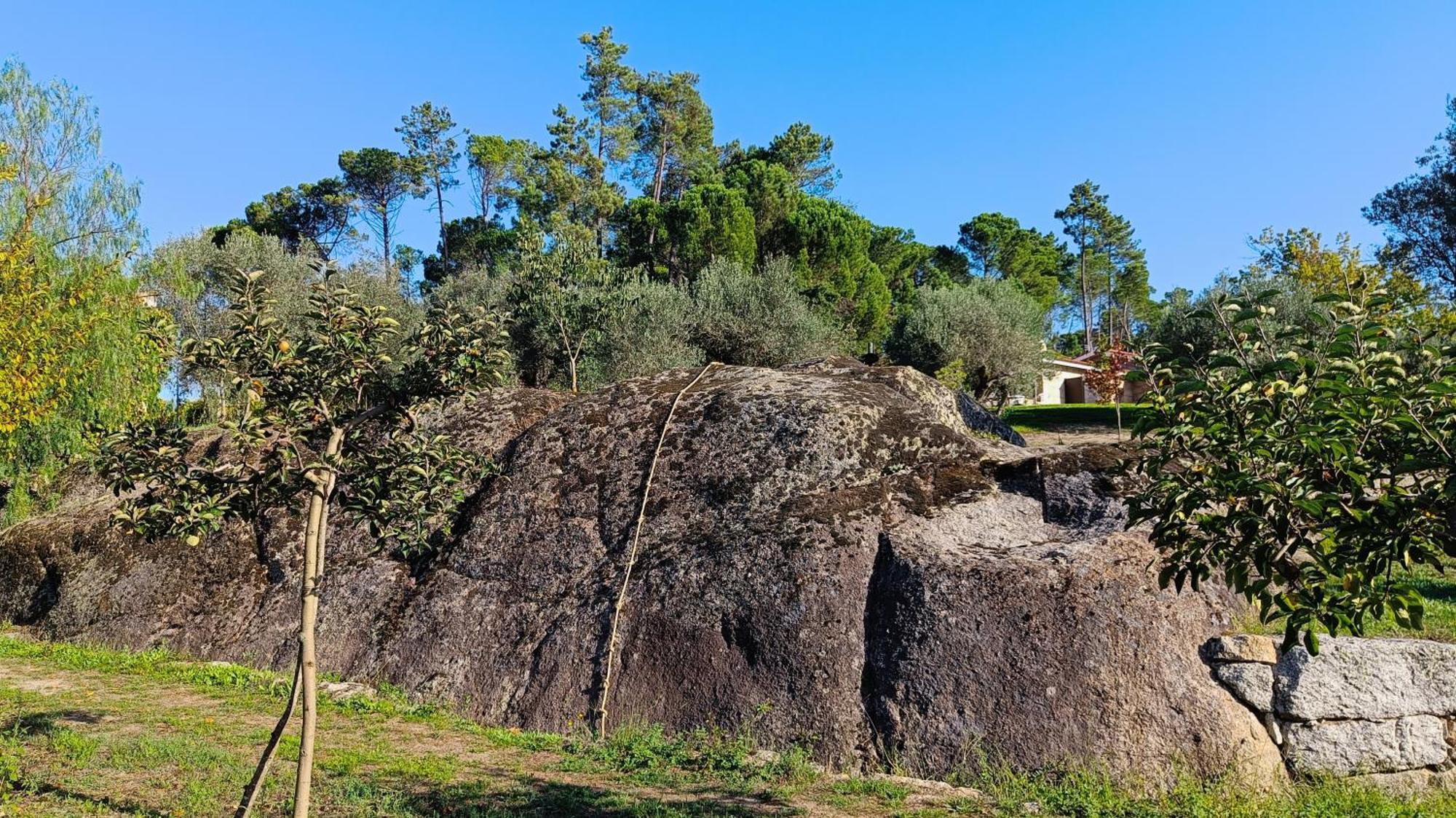 Quinta Da Pedra Mija Guest House Santar Exterior photo