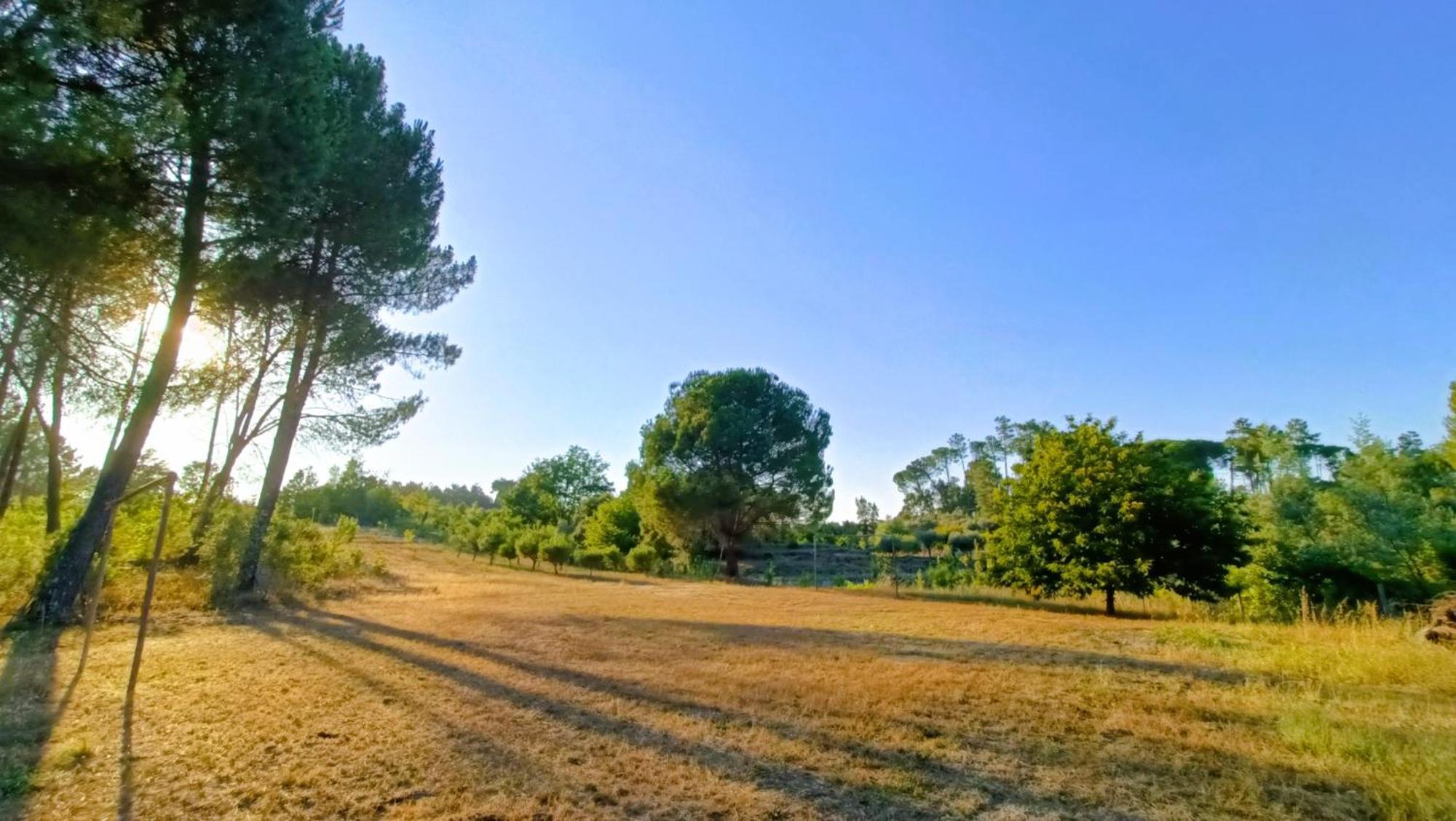 Quinta Da Pedra Mija Guest House Santar Exterior photo